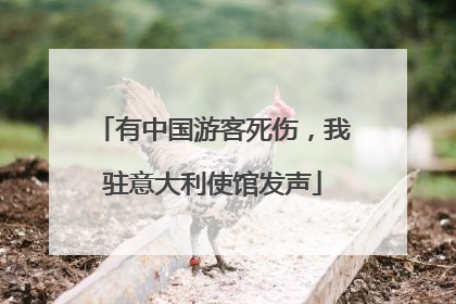 有中国游客死伤，我驻意大利使馆发声