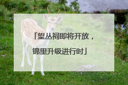 望丛祠即将开放，锦里升级进行时