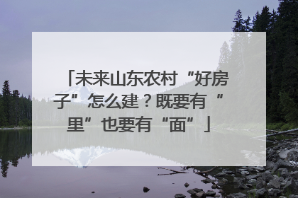 未来山东农村“好房子”怎么建？既要有“里”也要有“面”
