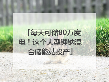 每天可储80万度电！这个大型锂钠混合储能站投产