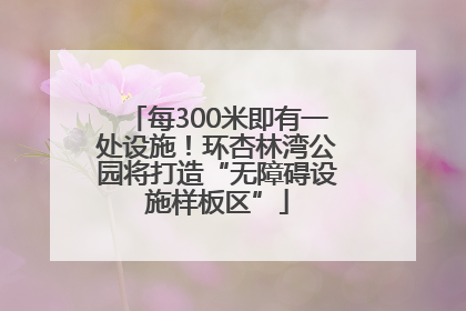 每300米即有一处设施！环杏林湾公园将打造“无障碍设施样板区”