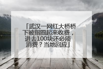 武汉一网红大桥桥下被指圈起来收费，进去100块还必须消费？当地回应