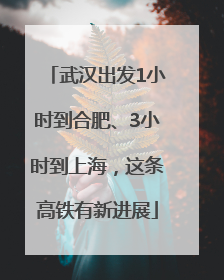 武汉出发1小时到合肥、3小时到上海，这条高铁有新进展