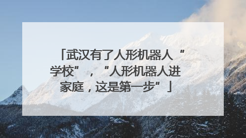 武汉有了人形机器人“学校”，“人形机器人进家庭，这是第一步”