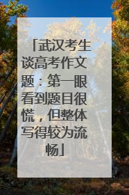 武汉考生谈高考作文题：第一眼看到题目很慌，但整体写得较为流畅