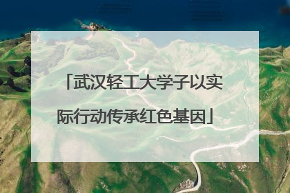 武汉轻工大学子以实际行动传承红色基因