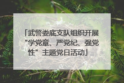 武警娄底支队组织开展“学党章、严党纪、强党性”主题党日活动