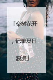 栾树花开，记录夏日浪漫