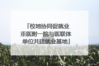 校地协同促就业 重医附一院与医联体单位共建就业基地