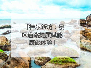 桂东新坊：景区道路提质赋能康旅体验