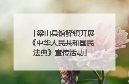 梁山县馆驿镇开展《中华人民共和国民法典》宣传活动