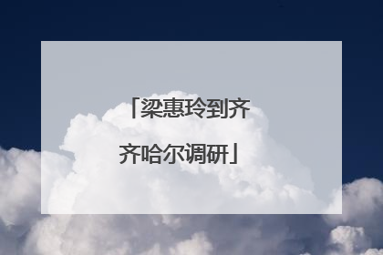 梁惠玲到齐齐哈尔调研