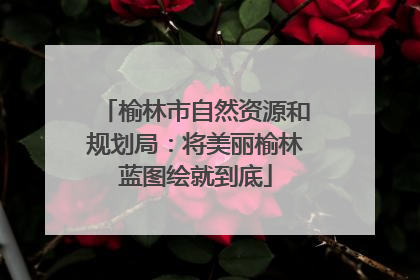 榆林市自然资源和规划局：将美丽榆林蓝图绘就到底