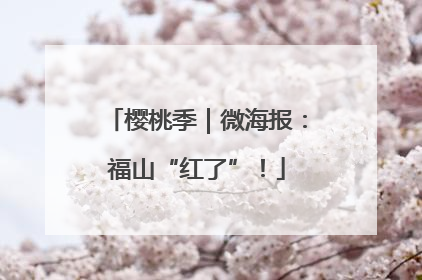 樱桃季｜微海报：福山“红了”！