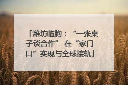 潍坊临朐：“一张桌子谈合作” 在“家门口”实现与全球接轨