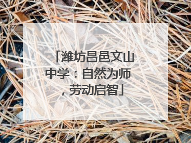 潍坊昌邑文山中学：自然为师，劳动启智