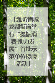 潍坊诸城龙都街道举行“提振消费·助力发展”首批示范单位授牌活动