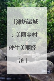 潍坊诸城：美丽乡村催生美丽经济