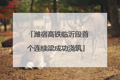 潍宿高铁临沂段首个连续梁成功浇筑