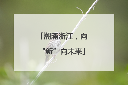 潮涌浙江，向“新”向未来