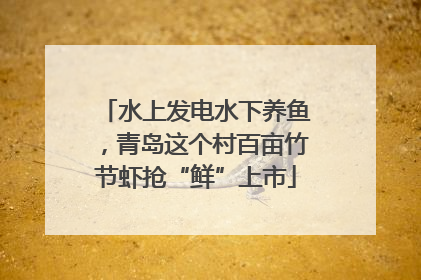 水上发电水下养鱼，青岛这个村百亩竹节虾抢“鲜”上市