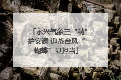 永兴气象三“精”护安澜 迎战台风“蝴蝶”显担当