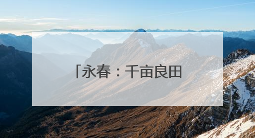 永春：千亩良田筑根基 产业融合绘“丰”景
