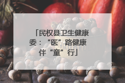 民权县卫生健康委：“医”路健康伴“童”行