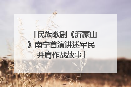 民族歌剧《沂蒙山》南宁首演讲述军民并肩作战故事