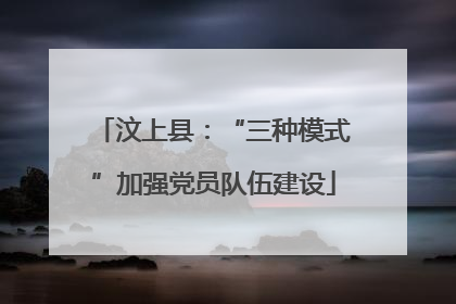 汶上县：“三种模式”加强党员队伍建设