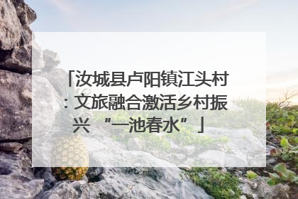 汝城县卢阳镇江头村：文旅融合激活乡村振兴 “一池春水”