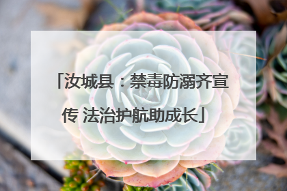 汝城县：禁毒防溺齐宣传 法治护航助成长