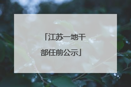 江苏一地干部任前公示