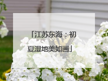 江苏东海：初夏湿地美如画