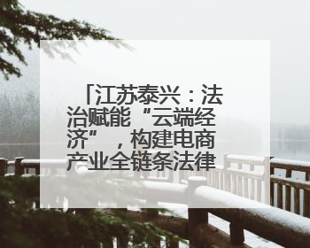 江苏泰兴：法治赋能“云端经济”，构建电商产业全链条法律服务体系