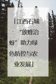 江西石城：“放蜂治蚜”助力绿色防控与农业发展