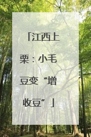 江西上栗：小毛豆变“增收豆”