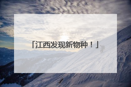 江西发现新物种！