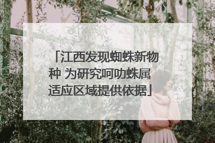 江西发现蜘蛛新物种 为研究呵叻蛛属适应区域提供依据