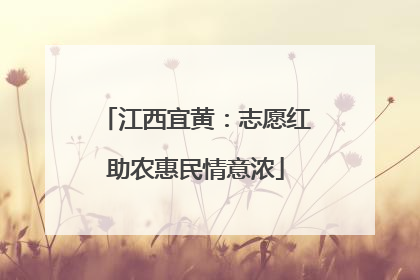江西宜黄：志愿红助农惠民情意浓