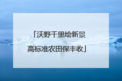 沃野千里绘新景 高标准农田保丰收