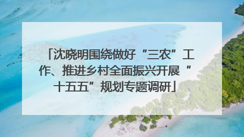 沈晓明围绕做好“三农”工作、推进乡村全面振兴开展“十五五”规划专题调研