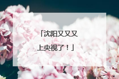 沈阳又又又上央视了！