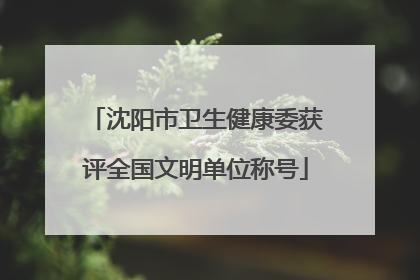 沈阳市卫生健康委获评全国文明单位称号