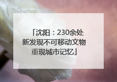 沈阳：230余处新发现不可移动文物重现城市记忆