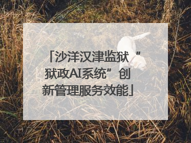 沙洋汉津监狱“狱政AI系统”创新管理服务效能