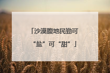 沙漠腹地民勤可“盐”可“甜”