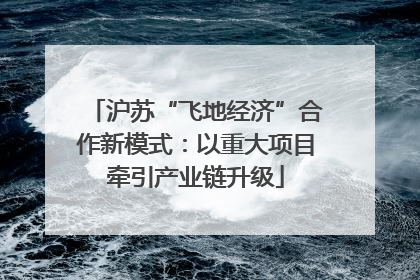 沪苏“飞地经济”合作新模式：以重大项目牵引产业链升级