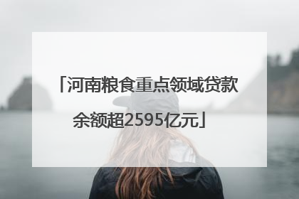 河南粮食重点领域贷款余额超2595亿元