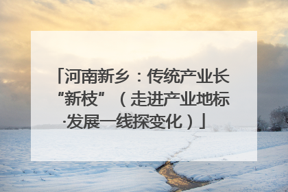 河南新乡：传统产业长“新枝”（走进产业地标·发展一线探变化）